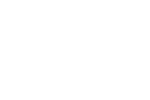 BRICKSTONE Clients Sacha
