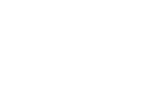 BRICKSTONE Clients Ulla Popkin